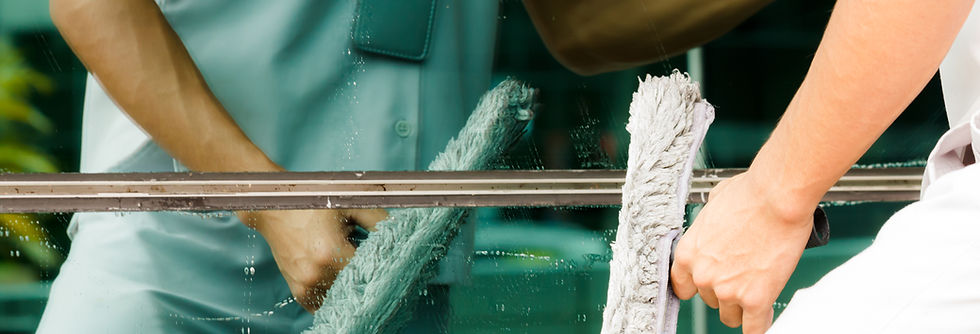 Cleaning Windows
