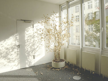 Podpora stanovalcem študentskih domov