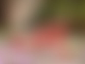 Lubenica, absolutna zmagovalka vročih dni