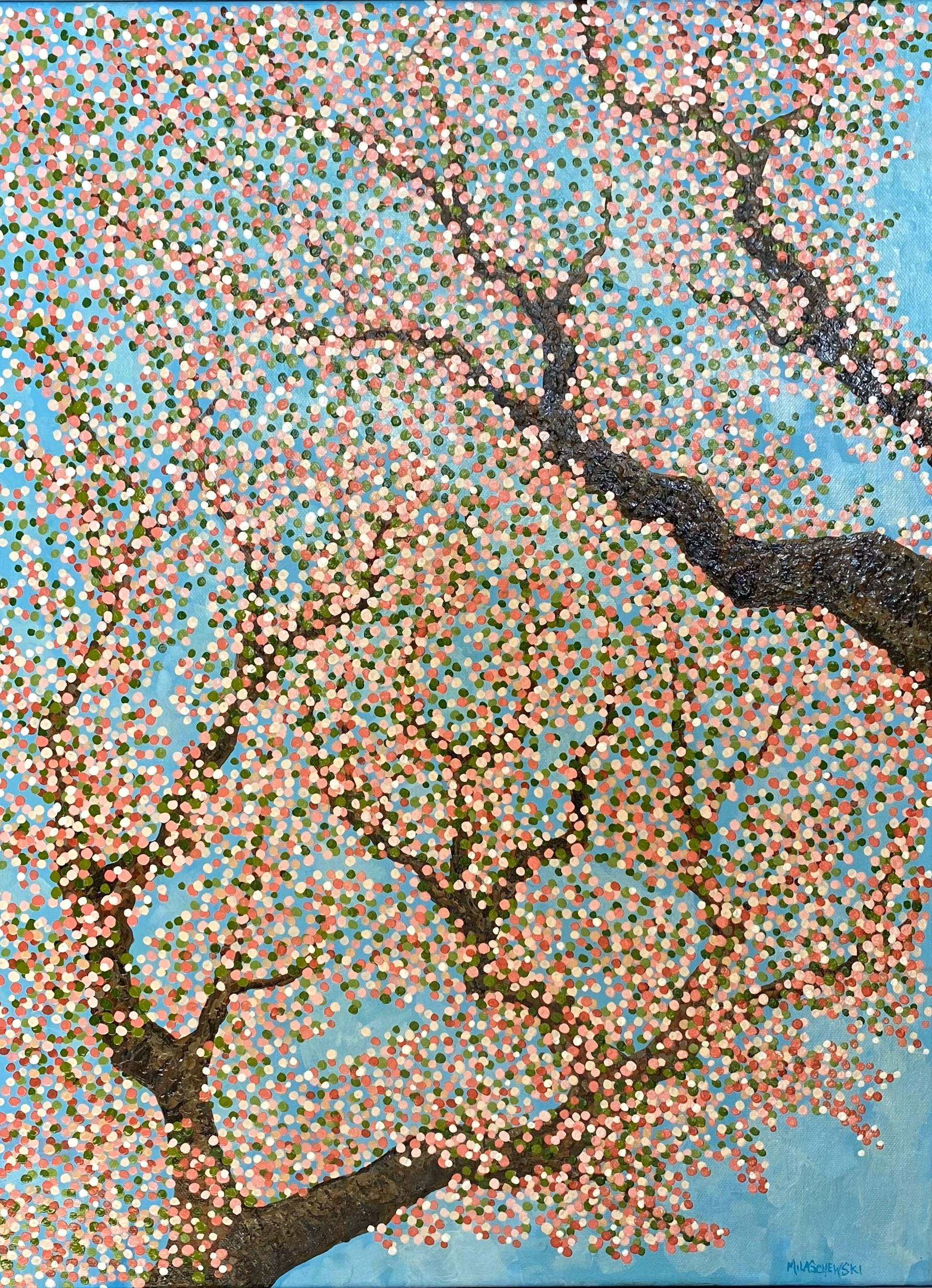 "Cherry Blossoms"