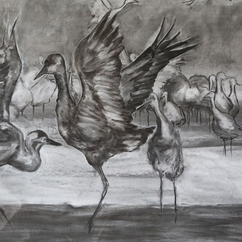 Detail on Crane Dance Sketch