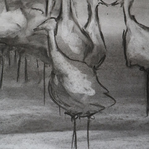 Detail on Crane Dance Sketch