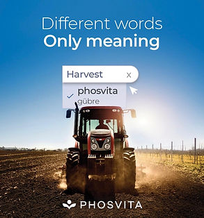 WhatsApp Image 2026-02-04 at 13.13.48 (4).jpeg