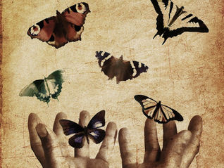 Several butterflies on a sepia background.