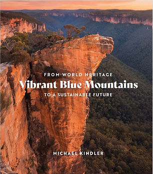 Vibrant Blue Mountains.jpg
