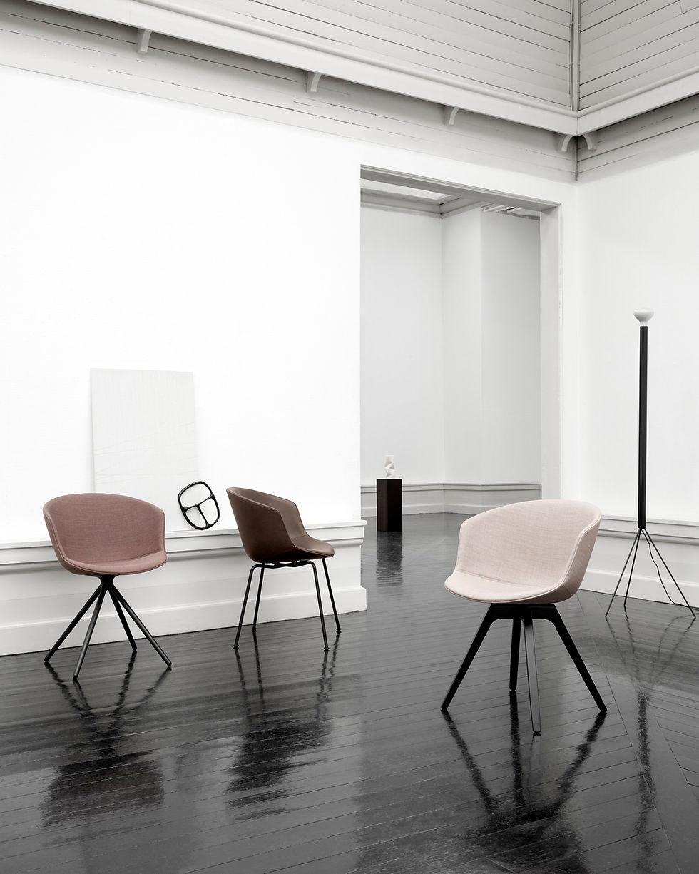 Miniatura: Silla Mono C/Funda