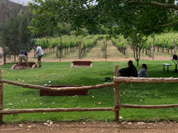 Sedona Wine Tour refxing wine tour