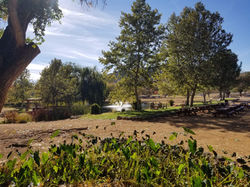 Sedona Wine tours