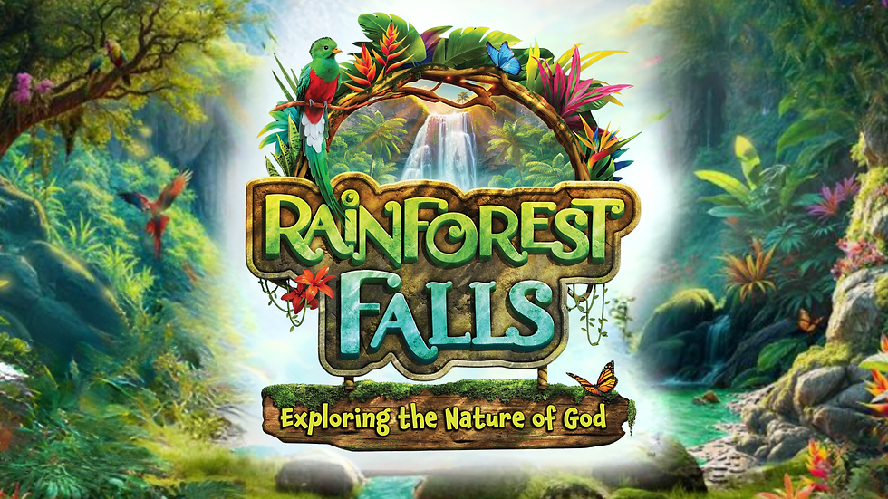 Rainforest Falls VBS
