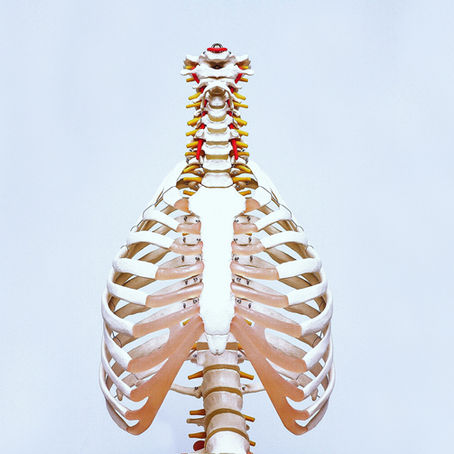 Quelle est la différence entre la kinésithérapie et l'ostéopathie ?