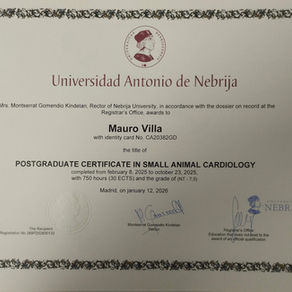 Il Dr. Mauro Villa consegue la certificazione internazionale in cardiologia veterinaria