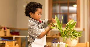 Empowering Your Family Through Montessori Wisdom