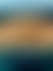 Indische spekkoek (familierecept)