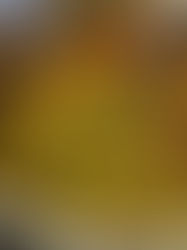 Sambal goreng boontjes