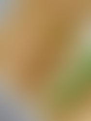 Het geheim voor malse kipfilet chunks