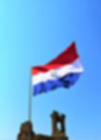 Bandera_paraguaya-(1).jpg