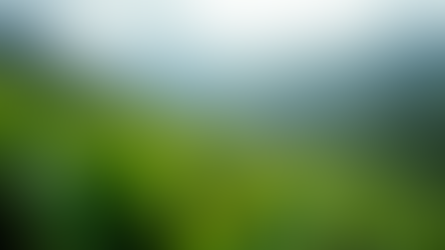 Crafting Your Ooty-Coonoor Travel Plan Experience