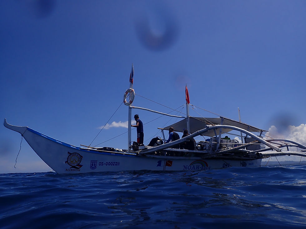 Island Hop the Bacuit