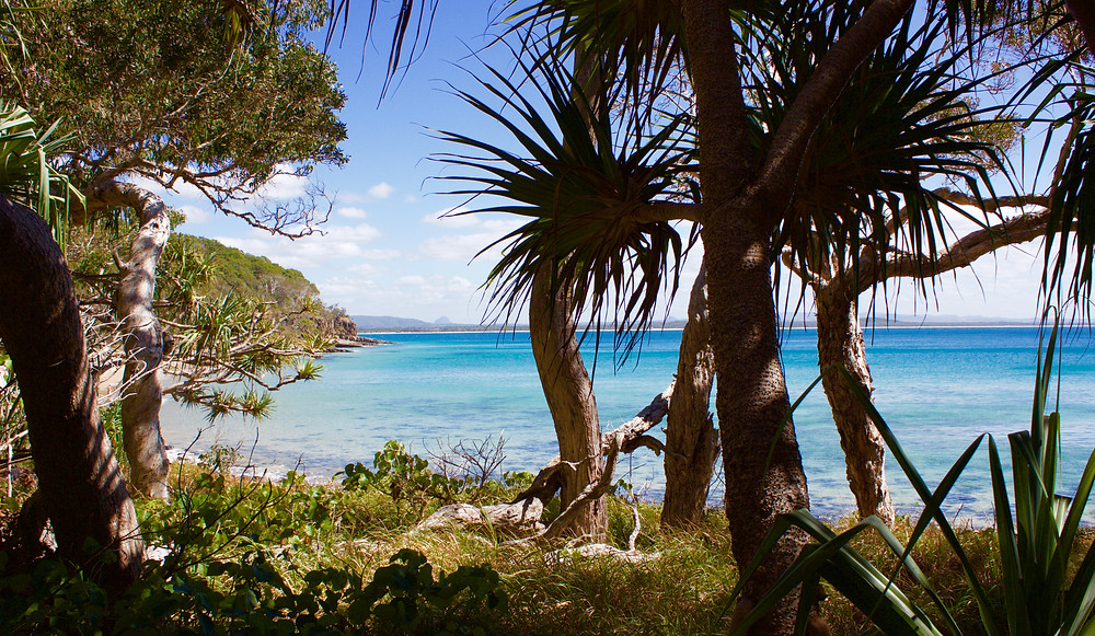 Noosa National Park Coastal Track