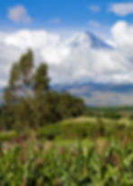 cotopaxi-volcano-avenue-of-the-volcano-s-2025-03-18-14-56-31-utc_edited.jpg