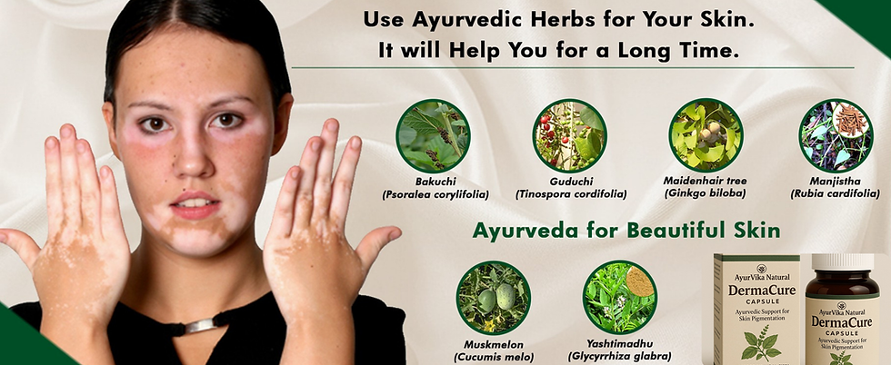 Aesthetic Shop Story Website Homepage Banner (4).png