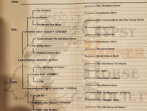 Archer's pedigree.jpg