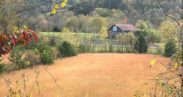 Fall at Old Grist Mill Farm, Old Grist Mill Farm, Gypsy Vanners, Lee Larochelle, Horse, For Sale,Lexington, Richmond, Irvine, Ravenna, Kenucky