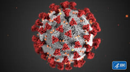 coronavirus.jpeg