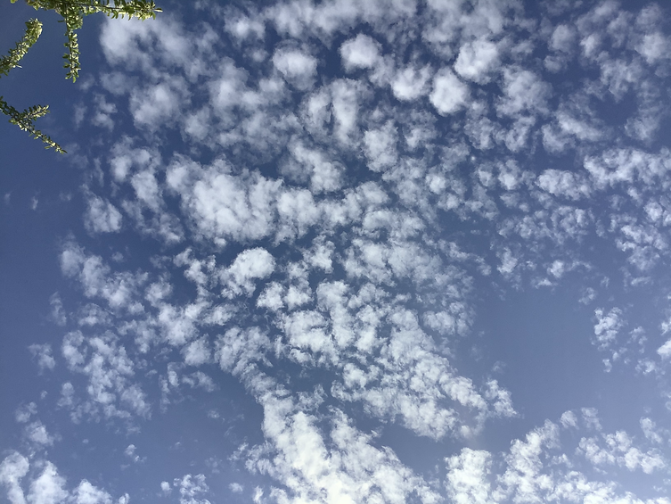 75206058-4735-4E41-ADDD-62577413B5BA.hei