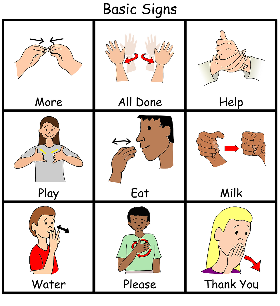 Visuals created with LessonPix.com