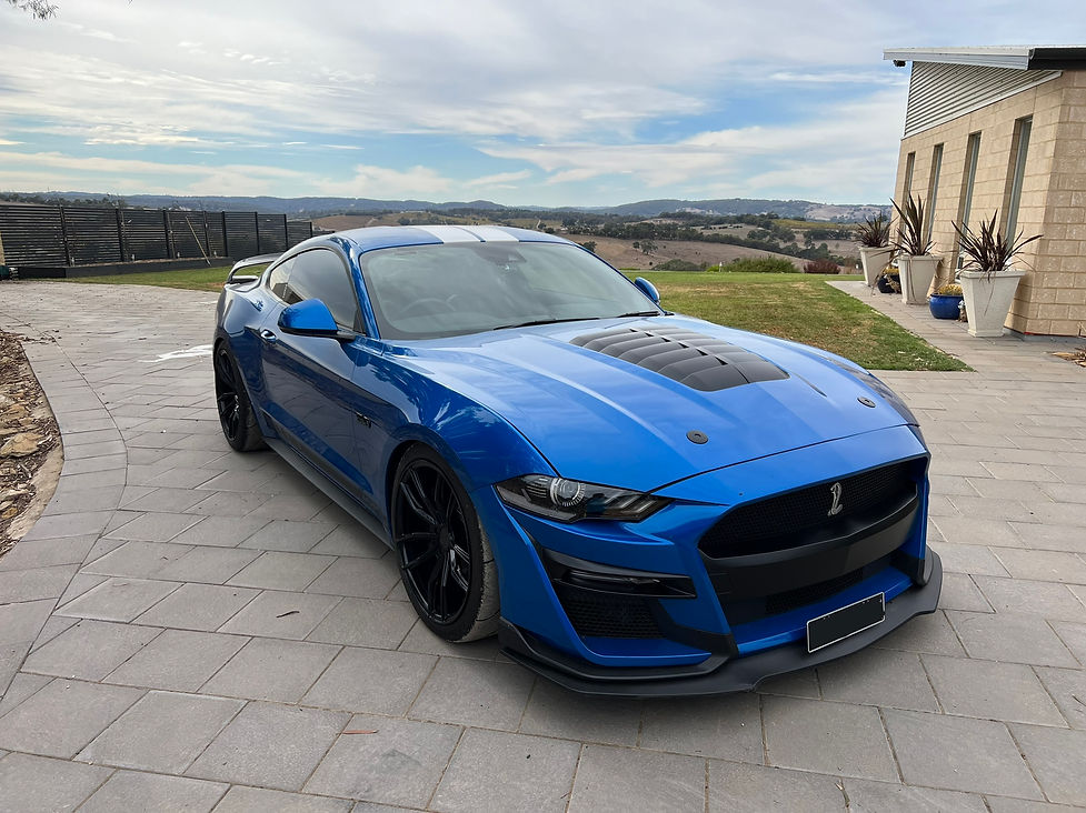 full exterior cut and polish on mustang