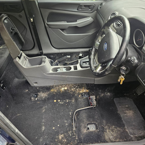 removed drivers seat to access all mould before photo