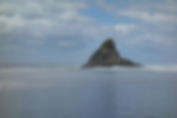 DSC00847.JPG