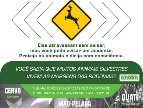 Campanha de Proteção à Fauna na obra