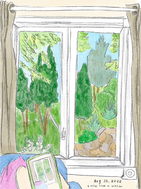view from a window.jpg