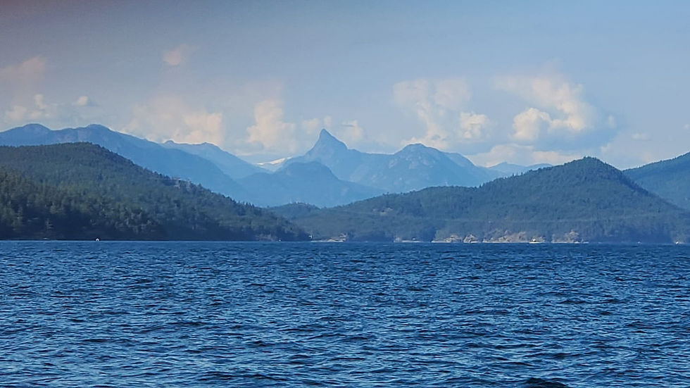 WhatsApp Image 2024-08-05 at 08.03.59_a9726882.jpg