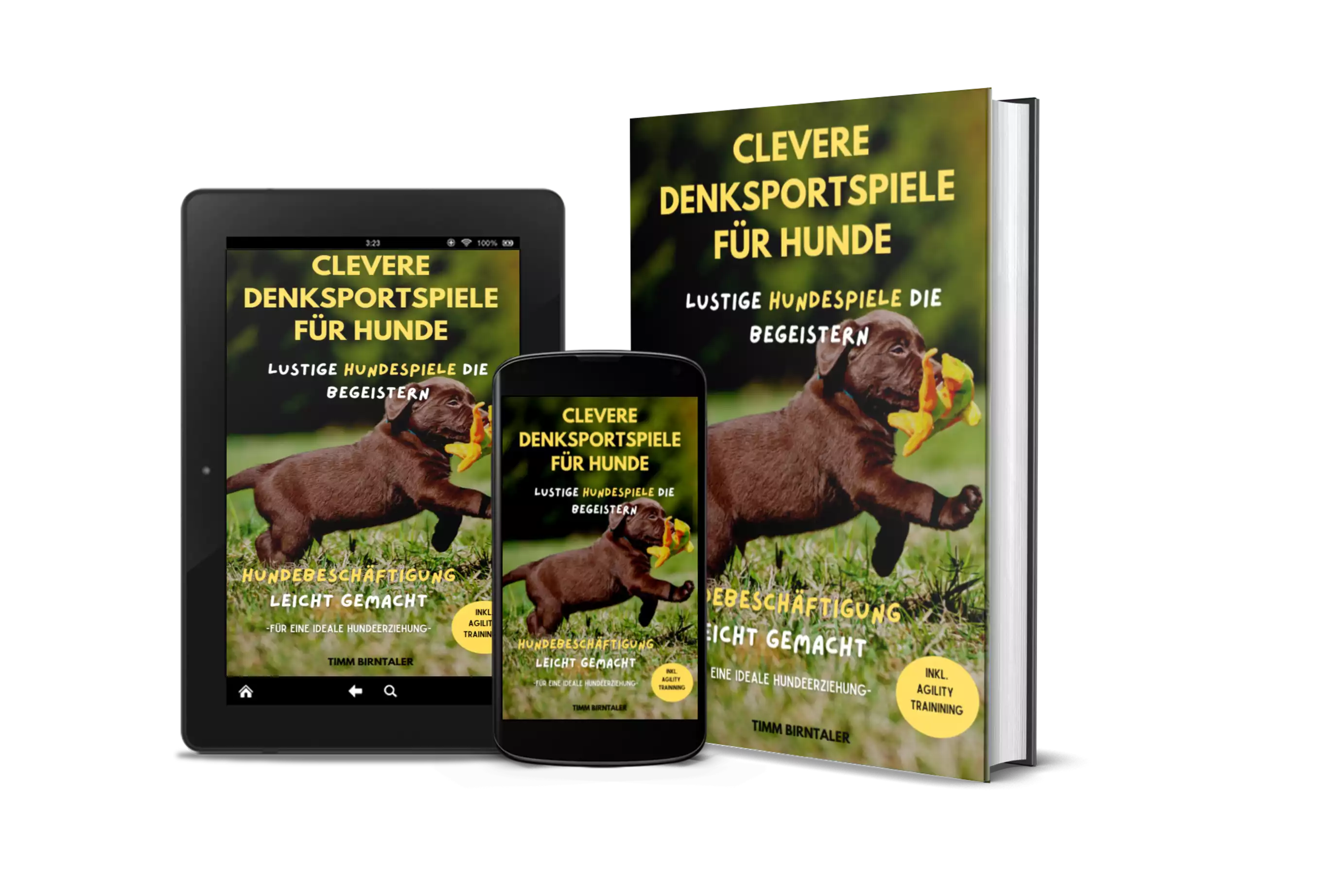 Hundetraining und Denkspiele für Hunde. Hundeerziehung für drinnen und draussen
