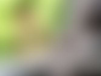 Teil 4: Die seelische Wunde der Demütigung