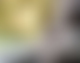 Teil 5: Die seelische Wunde des Vertrauensbruchs und Verrats