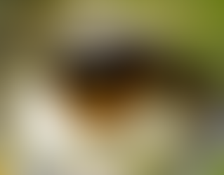 Symptome des Körpers verstehen lernen und Schmerzen selbst heilen