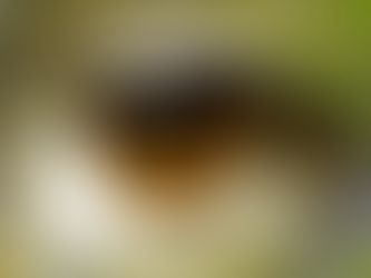 Symptome des Körpers verstehen lernen und Schmerzen selbst heilen