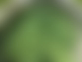 The "We're Done!" Ceremony