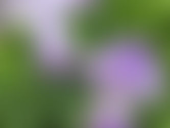 Recognition of Talent