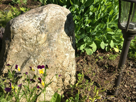 Solar Eclipse*New Moon