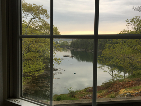 Audience Participation