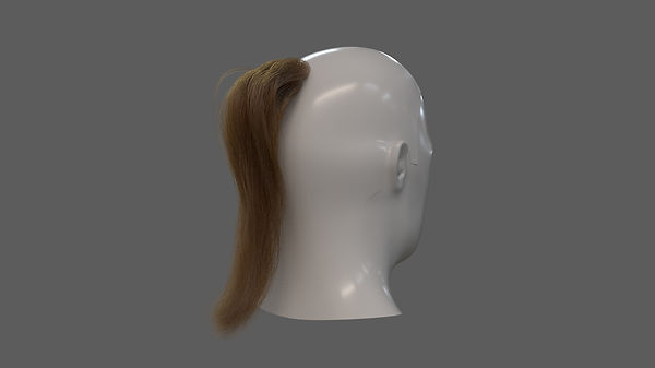 hair test.jpg