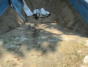 IMG_5408.jpeg