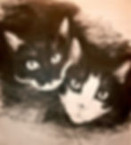“Bumble and Hermie”