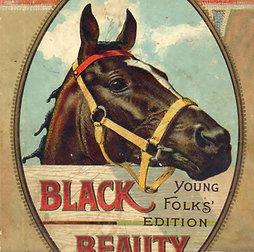 blackbeauty.png