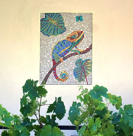 Caméléon mousaica.jpg